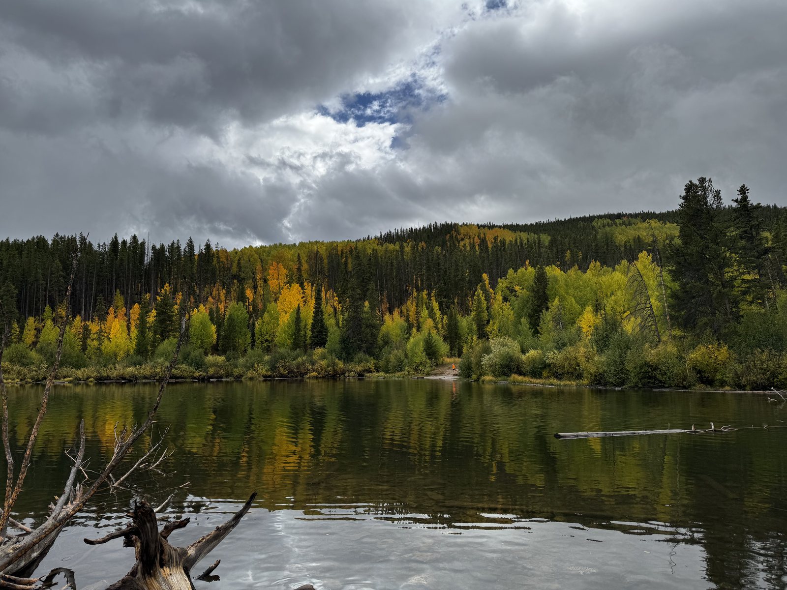 Aspen trees in fall color along a Rocky Mountain lake